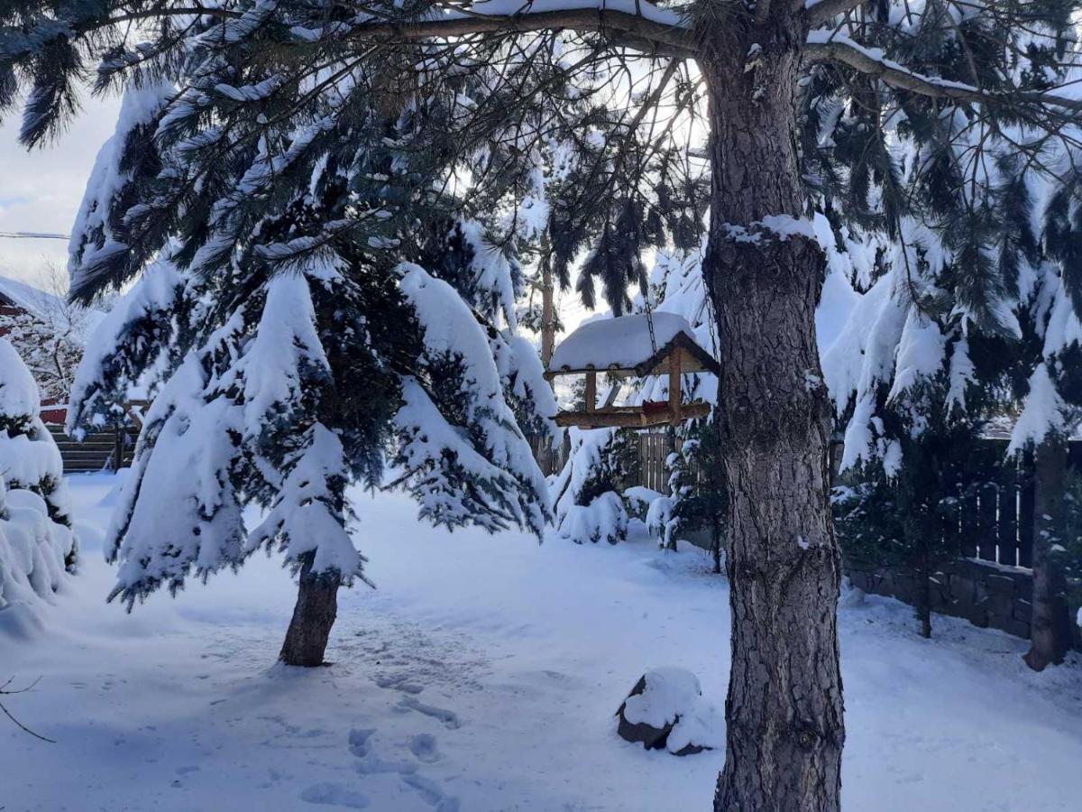 Sadyba Iryna Садиба Ірина Tukhlya Exteriér fotografie