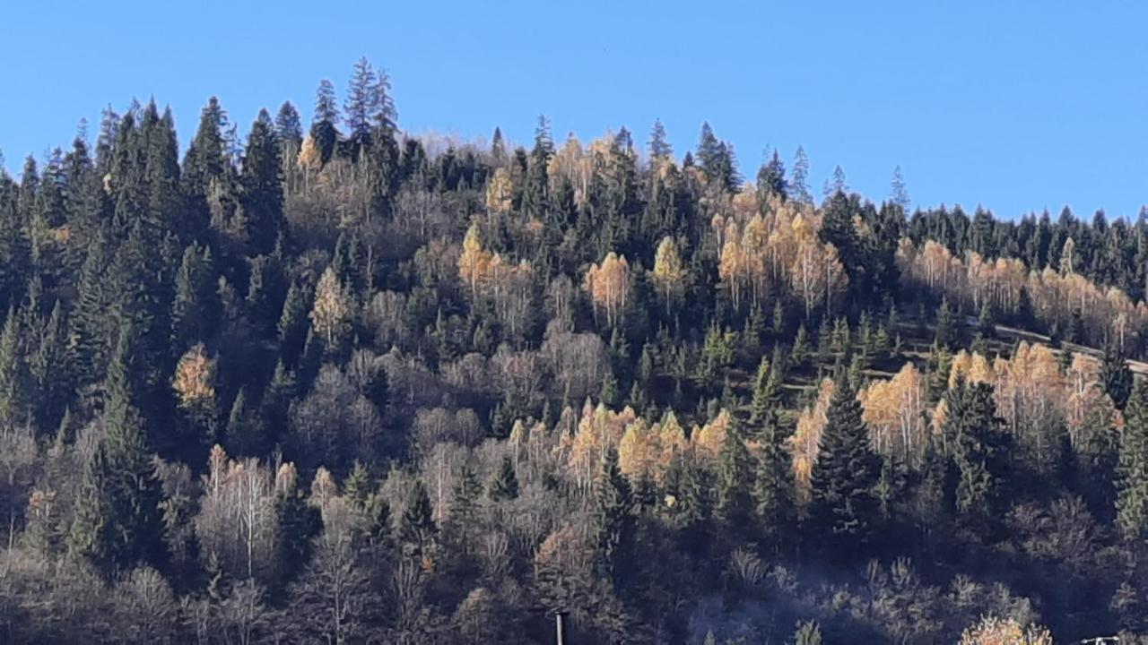 Sadyba Iryna Садиба Ірина Tukhlya Exteriér fotografie